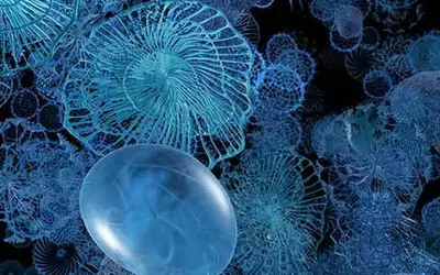 A mesmerizing underwater scene featuring various translucent jellyfish and marine organisms, predominantly in shades of blue, set against a dark background.