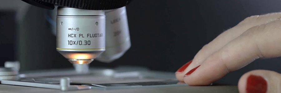 Tests en laboratoire sur peau reconstituee