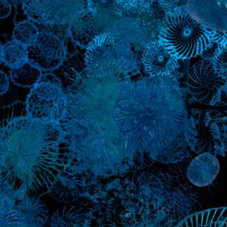 A LA POINTE DE<br><strong>L'INNOVATION SCIENTIFIQUE</strong>