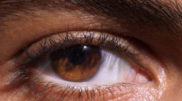 Close-up of a brown eye, showcasing the iris, eyelashes, and skin texture around the eye.