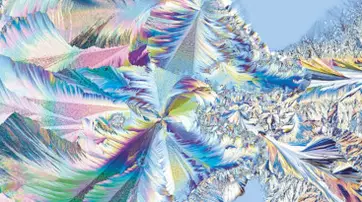 Abstract digital artwork featuring vibrant, swirling patterns in pastel colors, resembling feathery textures and intricate designs.