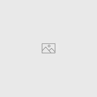 The image is not visible, so I can't provide a specific alt text. However, if you describe the image to me, I'll be happy to help you generate appropriate alt text!