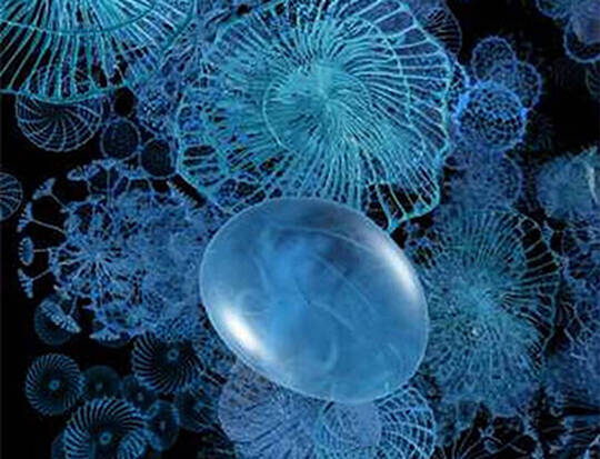 Conseils et aide en ligne