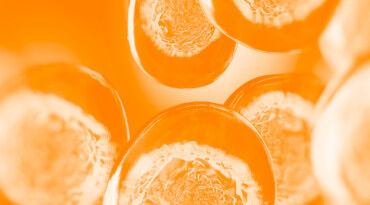 Close-up view of circular slices of an orange fruit, with a bright orange hue creating a vibrant and abstract effect.