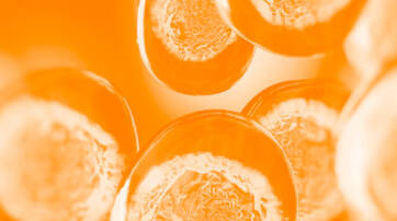 Close-up view of circular slices of an orange fruit, with a bright orange hue creating a vibrant and abstract effect.