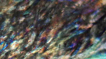 A close-up of a surface texture displaying iridescent colors and intricate patterns, resembling muted shadows with hints of shimmering blues, purples, and greens.