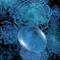 Abstract digital artwork featuring a variety of translucent blue shapes and patterns reminiscent of microscopic organisms, set against a dark background.