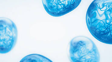 A close-up view of translucent blue jellyfish floating in a light background.
