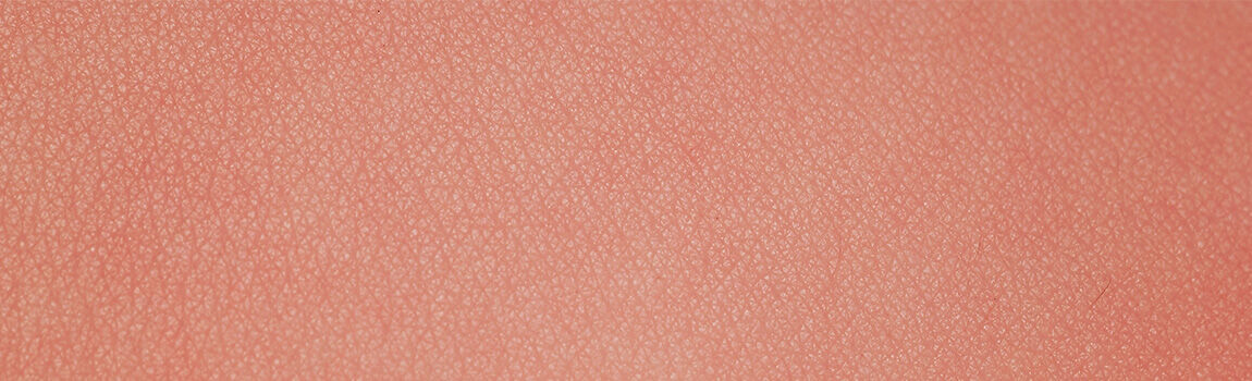 Close-up of a smooth, coral-colored surface with a fine texture resembling skin.