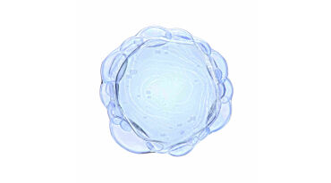 A translucent, spherical structure with a slightly wavy surface, resembling a cell or bubble cluster, set against a white background.