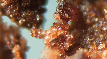 Close-up view of shimmering, crystalline structures with a reddish-brown hue, set against a blurred background.