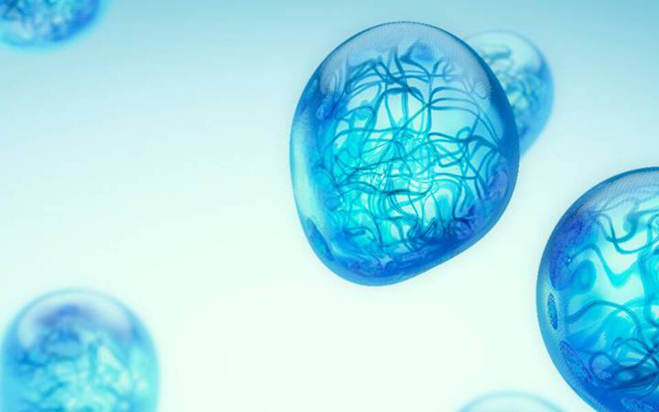 Des cellules microscopiques bleues flottant dans un fond clair.