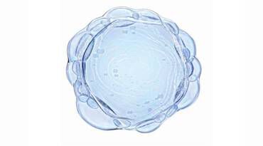 A circular illustration featuring turquoise and green swirling patterns resembling a planet.