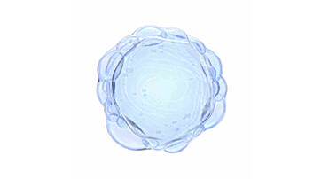 A translucent, spherical structure with a slightly wavy surface, resembling a cell or bubble cluster, set against a white background.