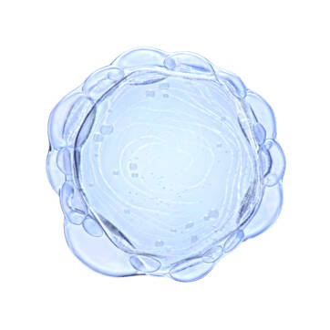 NIACINAMIDE